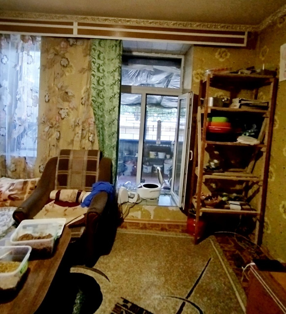 продажа трехкомнатной квартиры номер A-173137 в Приморском районе, фото номер 10